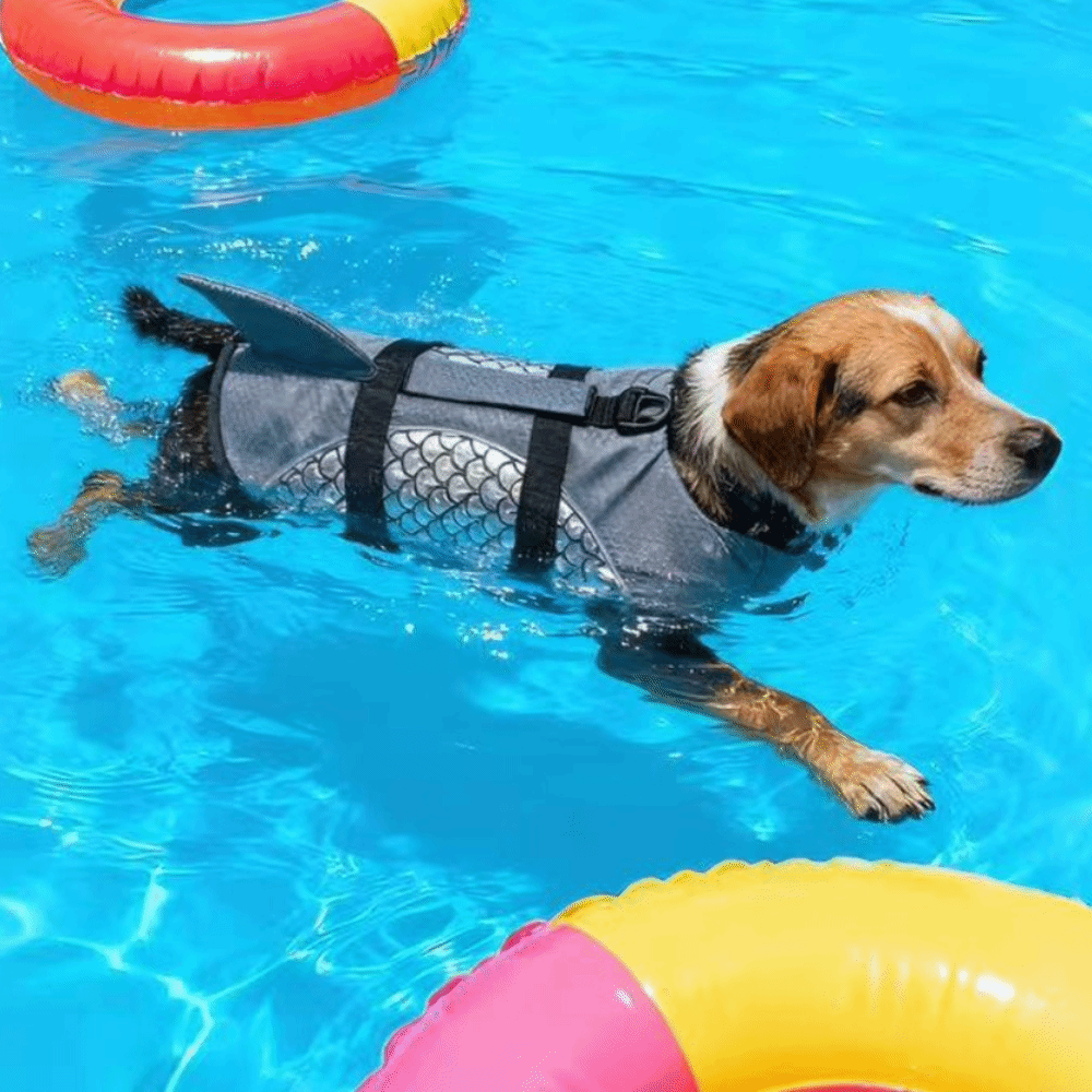 Dog Life Jacket - Strong Buoyancy Dog Life Jacket Shiny