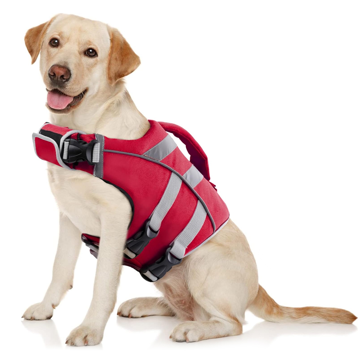 Ensure Your Dog's Water Advent - Dog Life Jacket ulasan dan harga