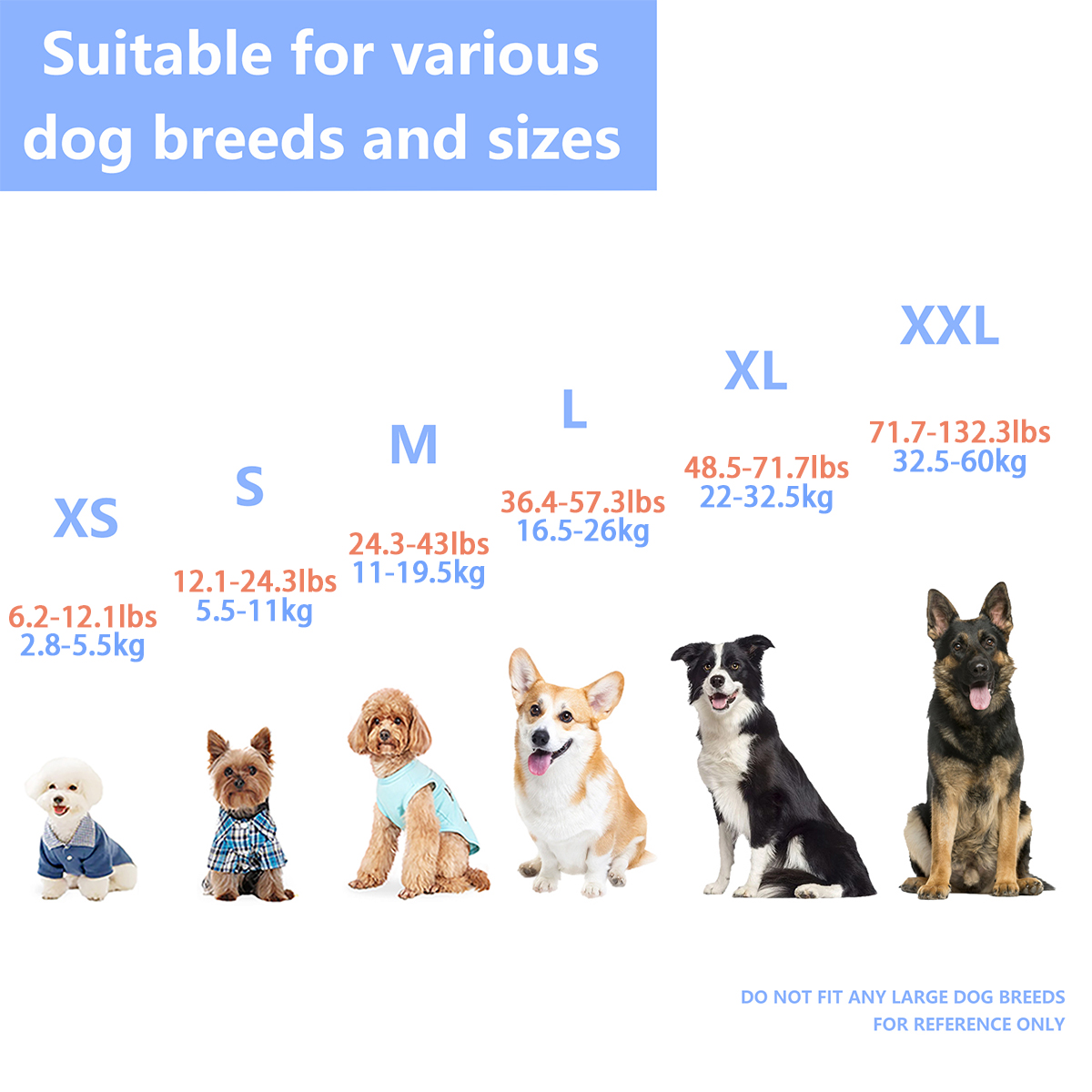 Ensure Your Dog's Water Advent - Dog Life Jacket ulasan dan harga