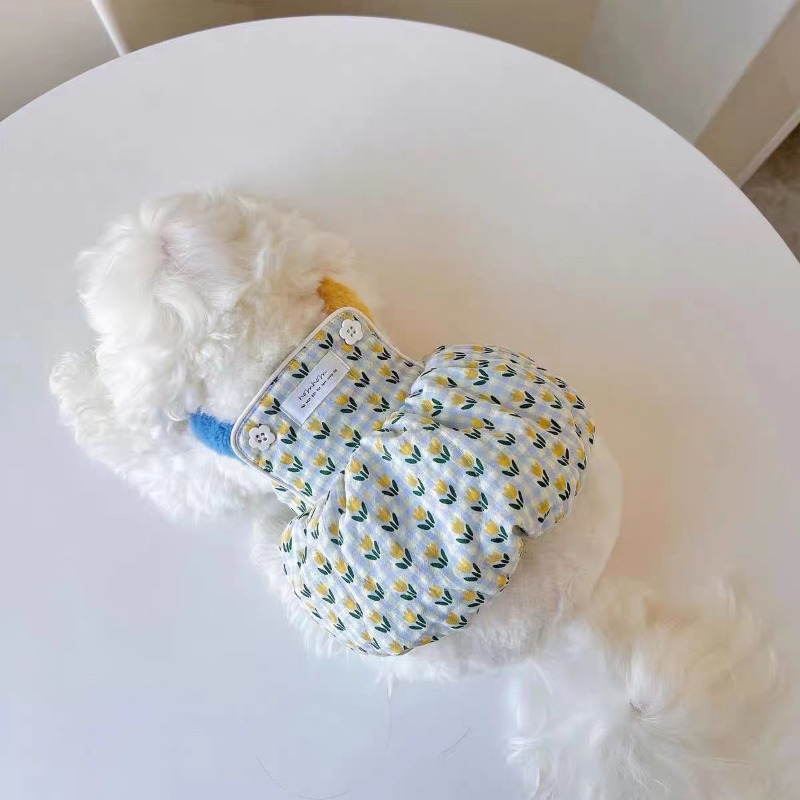 Creative Autumn and Winter Clo - Pet Supplies For Less ulasan dan harga