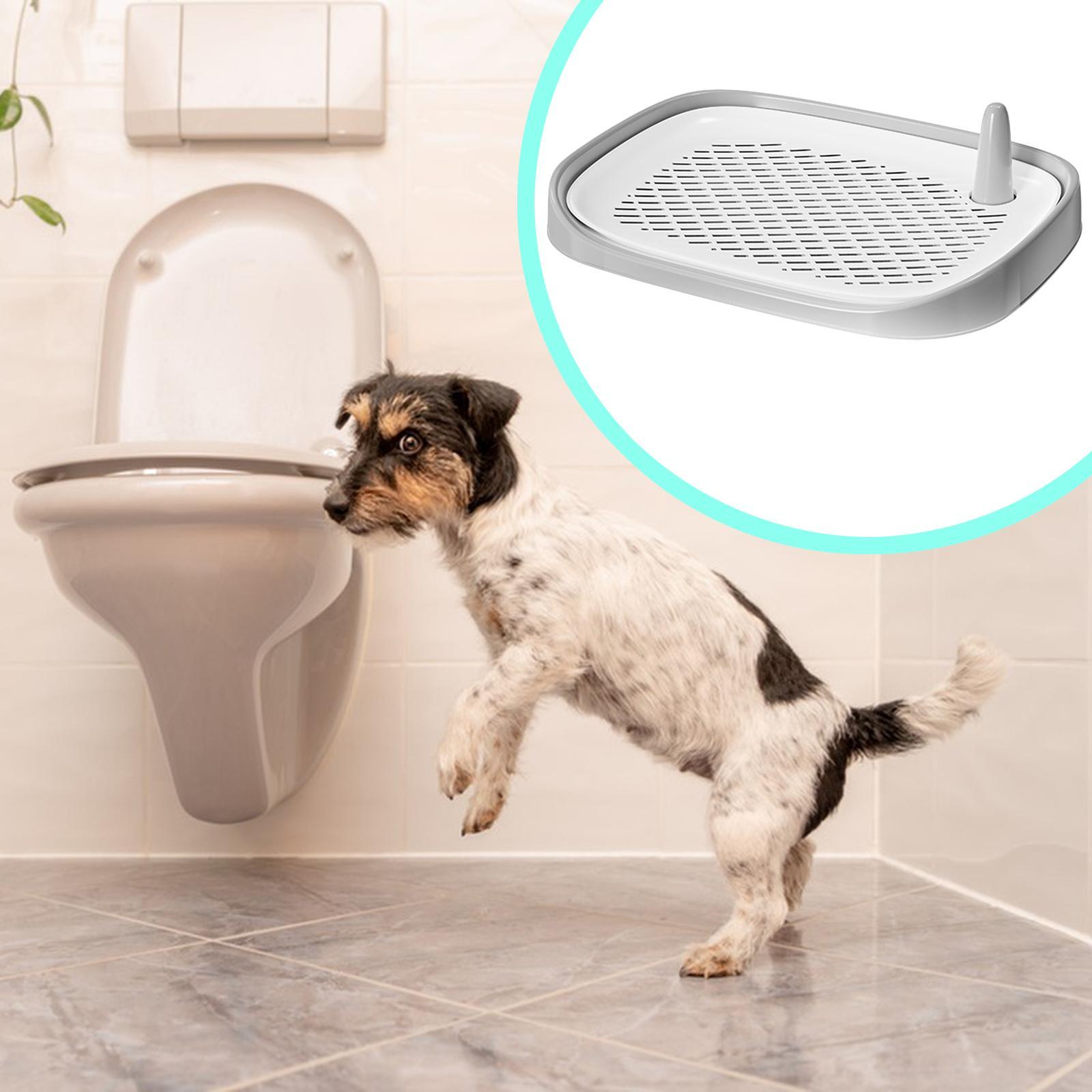 Dog Litter Box Pet Supplies Tr - Pet Supplies For Less ulasan dan harga