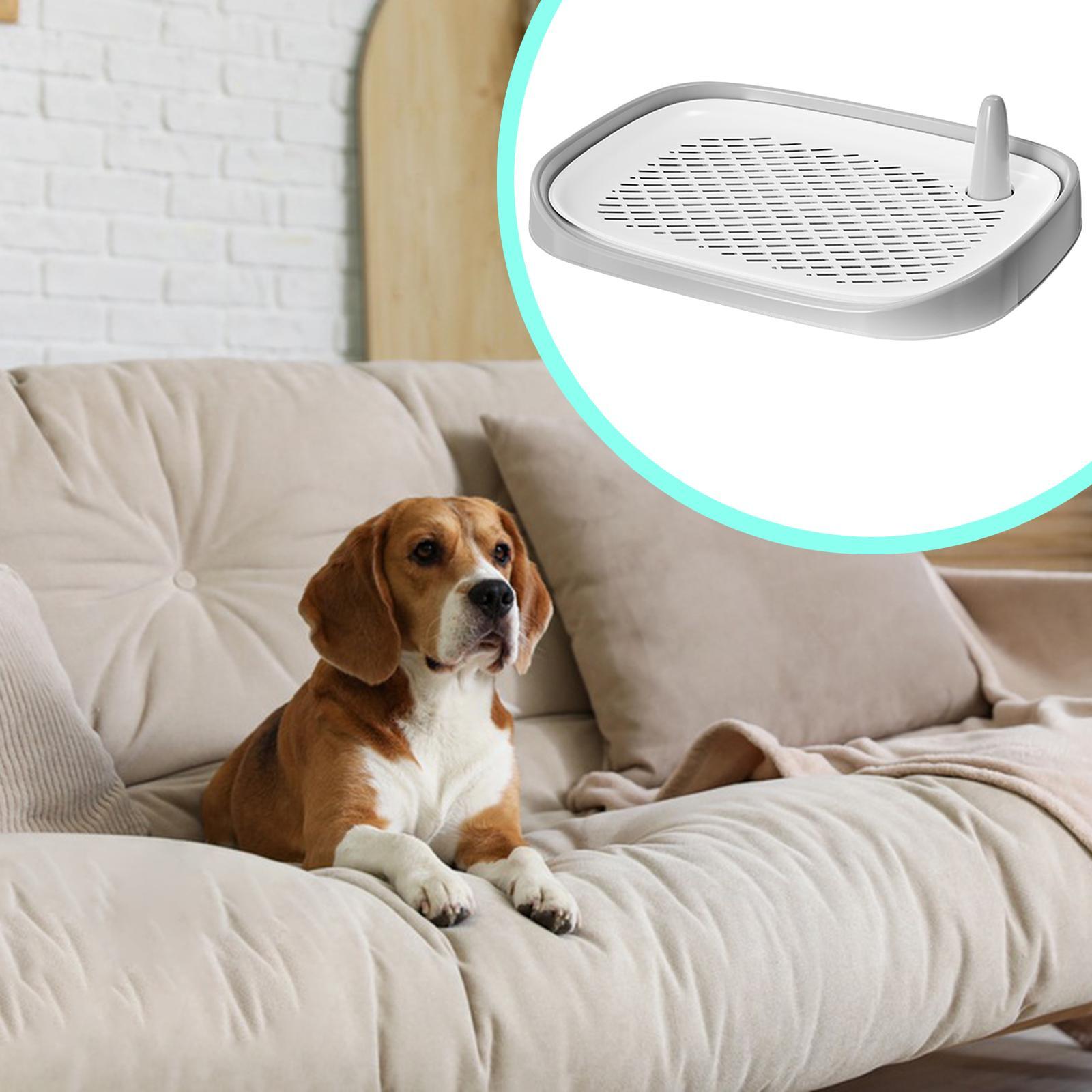 Dog Litter Box Pet Supplies Tr - Pet Supplies For Less ulasan dan harga