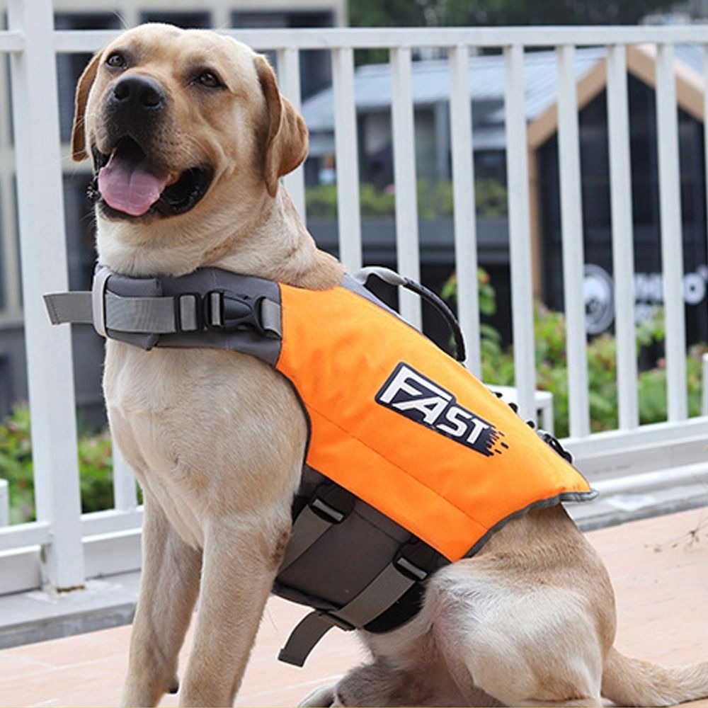 Adjustable Pet Swimming Life J - Dog Life Jacket ulasan dan harga