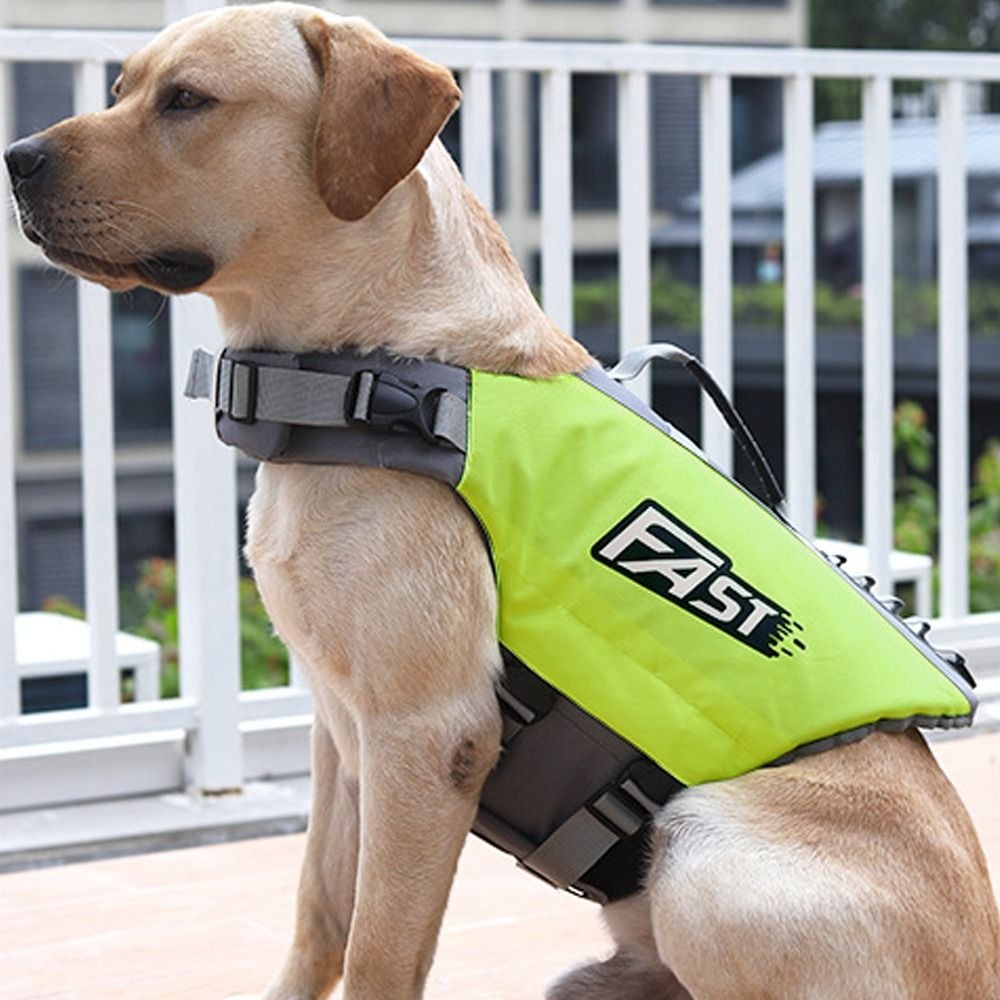 Adjustable Pet Swimming Life J - Dog Life Jacket ulasan dan harga