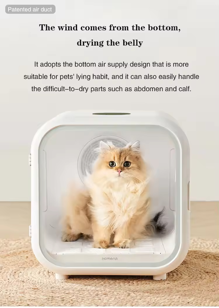 Automatic Smart Pet Hair Dryin - Pet Supplies For Less ulasan dan harga