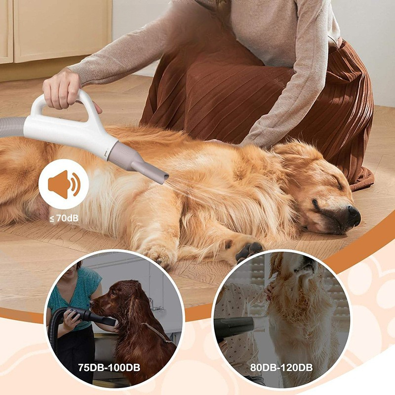 Pet Hair Dryer Low Noise Multi - Pet Supplies For Less ulasan dan harga