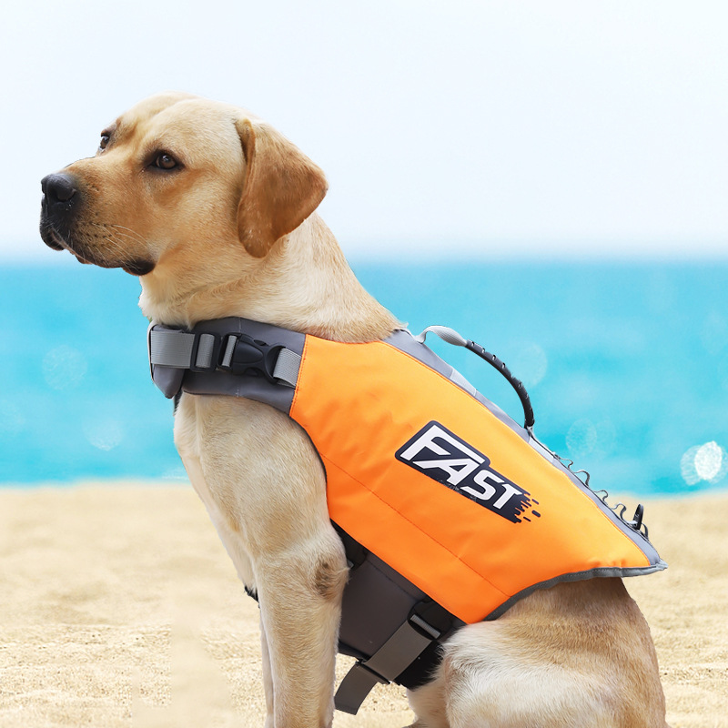 Pet Swimming Life Jacket Safet - Dog Life Jacket ulasan dan harga