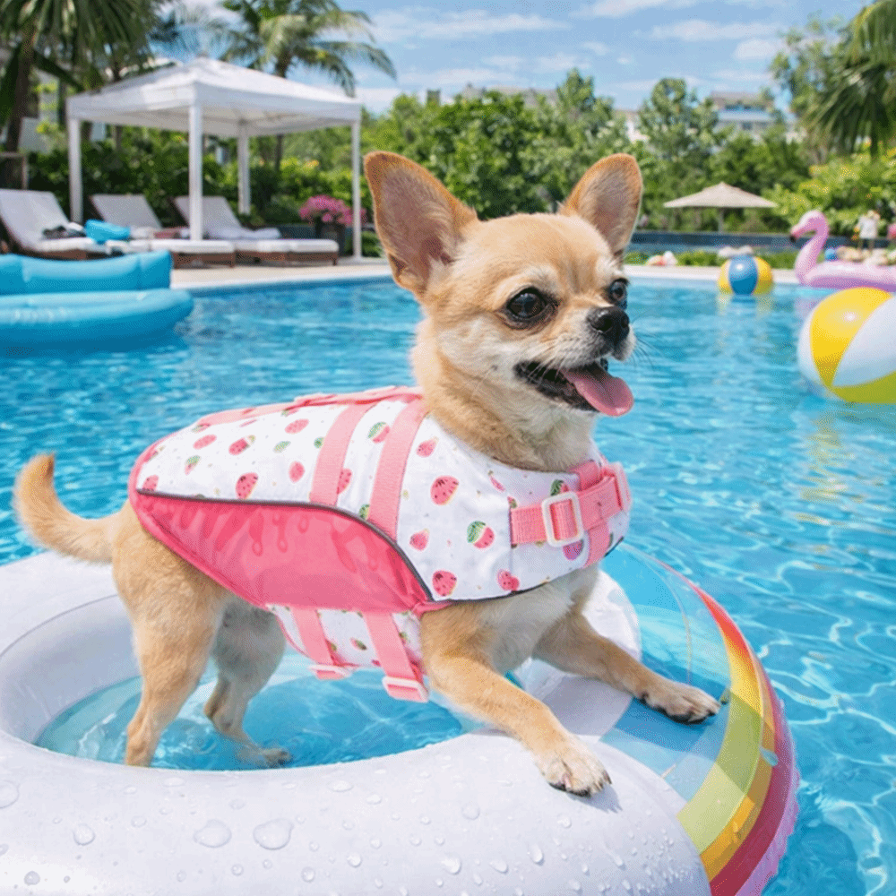 Adjustable Dog Life Jacket Hig - Dog Life Jacket ulasan dan harga