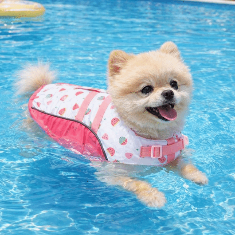 Adjustable Dog Life Jacket Hig - Dog Life Jacket ulasan dan harga